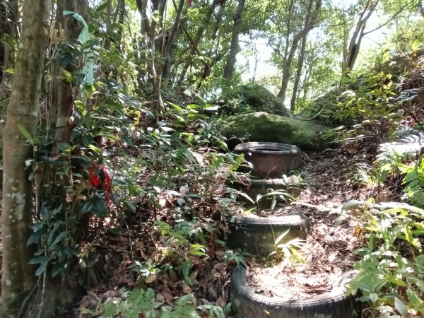 汐止區火燒坪山+車坪寮崙+五指山前峰O型2857914