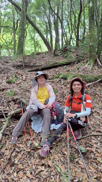 加里山P縱202506222818636