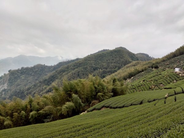 四大天王山縱走獨立山(雙溪路線)封面