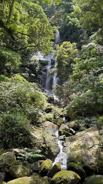 戲水（鴛鴦2786736