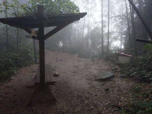 天氣多變大霧瀰漫的溪頭鳳凰山步道(小百岳#53)1494928