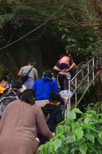 汐止大尖山健行活動 20191109735082