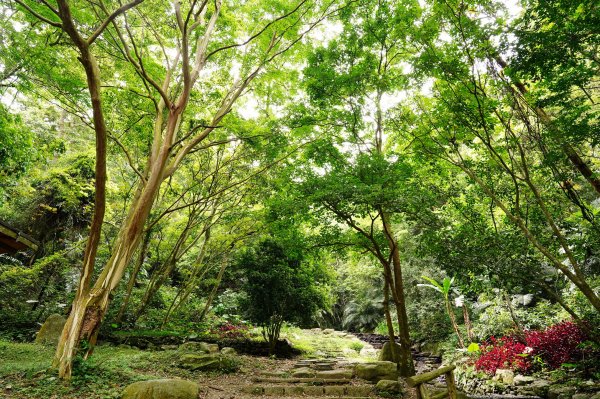 南投 仁愛 松風山3052496