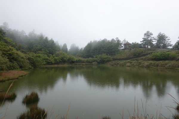 阿興阿賢雪山神木天池步道582023