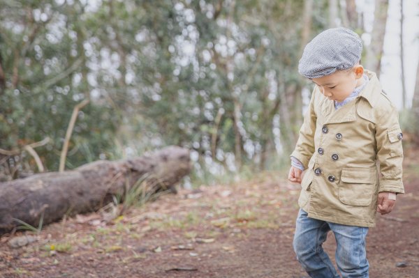 20200310-司馬庫斯神木群步道914326