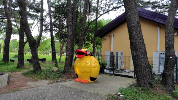 霄裡好風光運動樂悠遊-大湳森林公園2823565