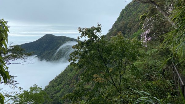 單攻北大武山1662514