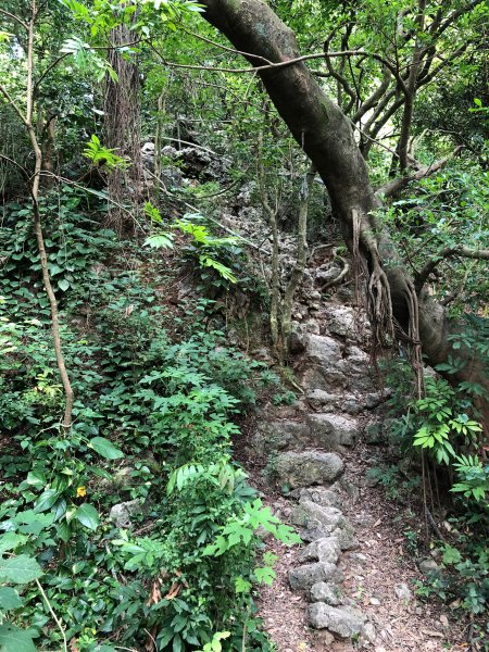 2020.10.01南壽山1119740