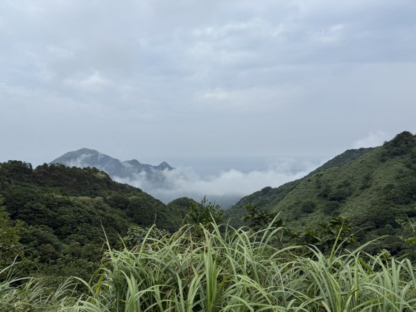 淡蘭北路第一段：瑞芳車站至慶雲宮2876399