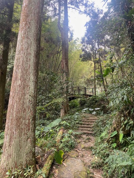 1120329奮瑞古道2643548