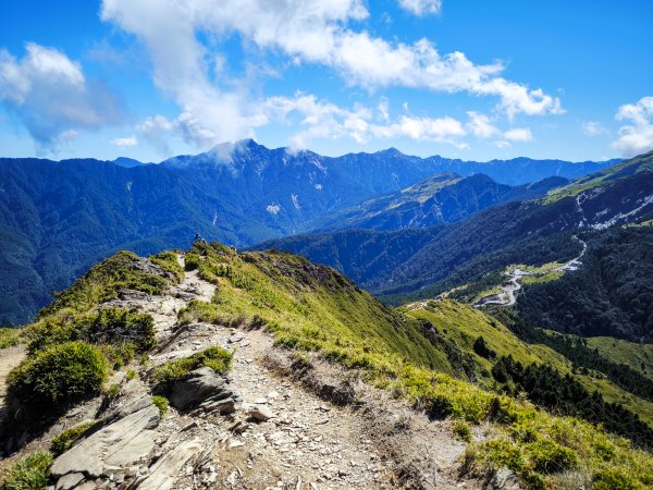 2025-11-07 合歡北峰、小溪營地、鷹石尖、北峰名樹2934334