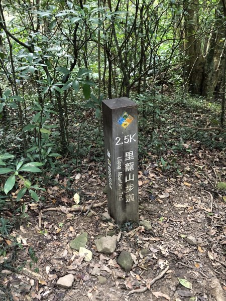 台灣小百岳No.080 里龍山908206