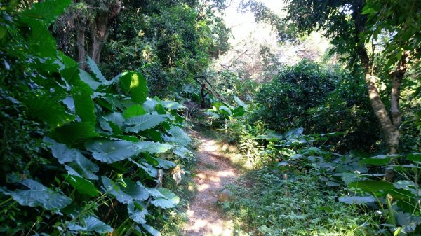 台北大縱走之劍潭山+忠義山445660