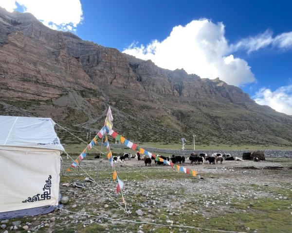 西藏-崗仁波齊轉山/珠峰大本營5200米2897710