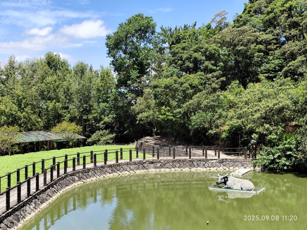 【臺北大縱走 7】2-1 樟山寺→樟樹步道→彩雲亭→相思炭窯→貓纜貓空站→指南路三段40巷2881802