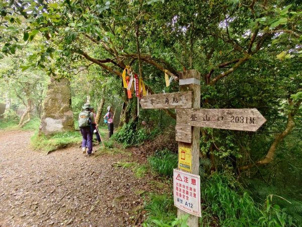 🌈5/10（日）大混山縱走李棟山（李棟山莊）✨FB：熊熊趴爬走~歡迎加入🌈3052544