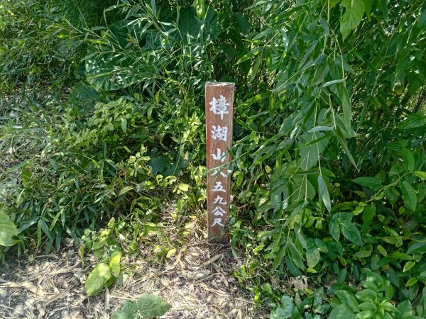 華山4-2號步道上雲嘉連峰2579359