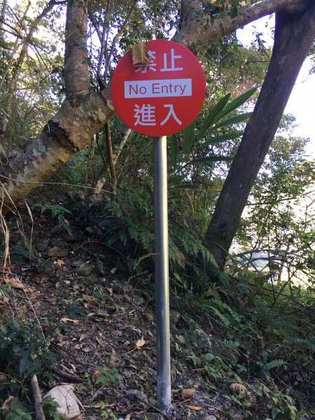 20161119_谷關七雄之四-波津加山873755