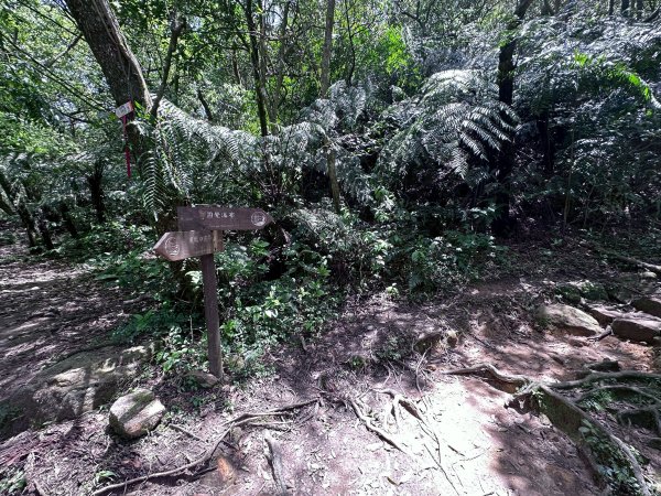 台北大縱走第四段2766851