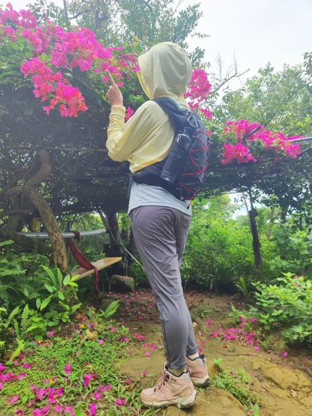 微笑山線鳶山山系2844423