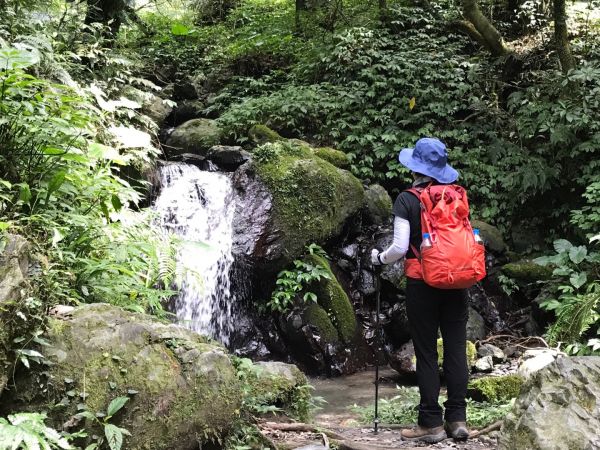 聖母登山步道上三角崙山381350