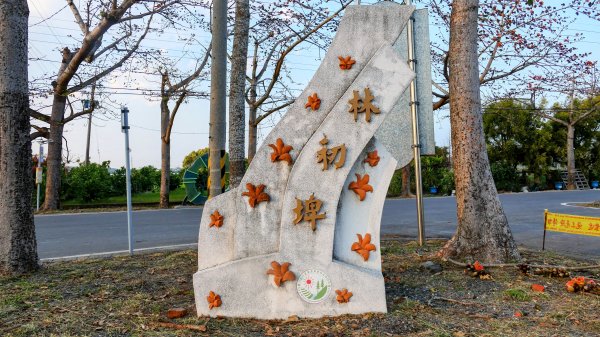 《臨江仙。木棉春色》2735242