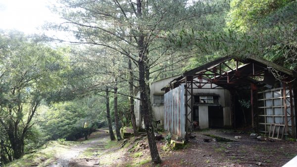 雙龍林道上巒安堂西巒大山1778690