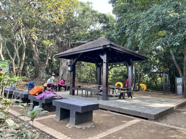 龍過脈森林步道2969784