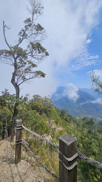 【美美兔走山趣】谷關抓雄-老六白毛2749961