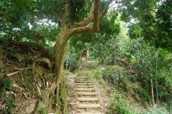 臺中 北屯 南觀音山2638627