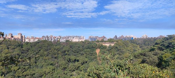 新寮休閒步道2949220