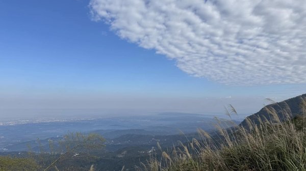 20250124小百岳 梨仔腳山及大尖山2703371