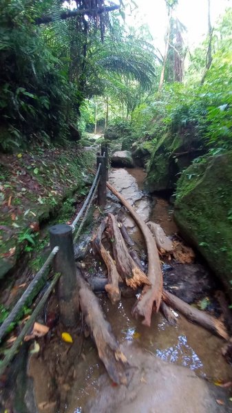 三貂嶺瀑布群峰1934318