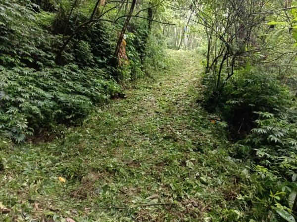 雙溪區平水+外柑腳山去回2784064