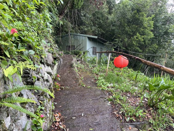 [皮皮獅探險隊-08/10] 2025_0719 李崠山步道2842966