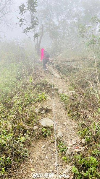 【台南。 南化】迷霧山徑。 小百岳集起來。 編號70小百岳~刣牛湖山登山步道1610483