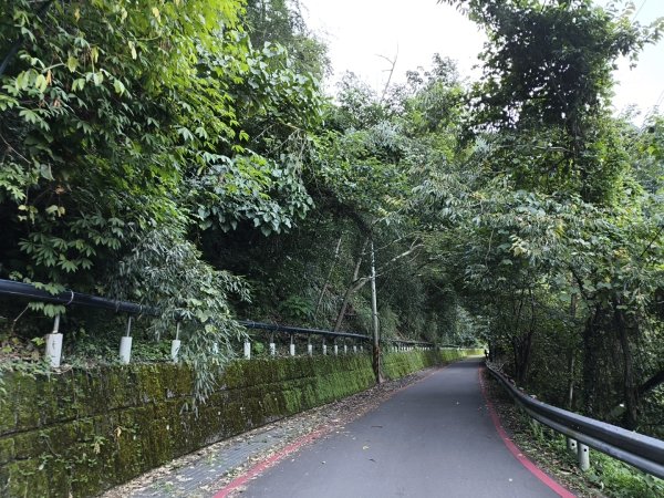 [玉山尋寶任務-07/12] 2025_0824 八通關雲龍瀑布步道2870423