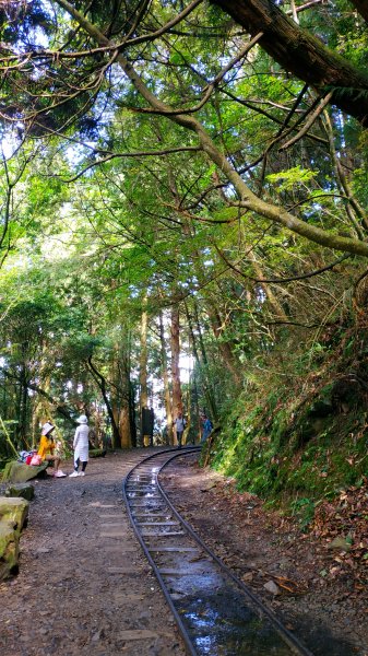 山林美境尋寶石特富野古道202009031090791