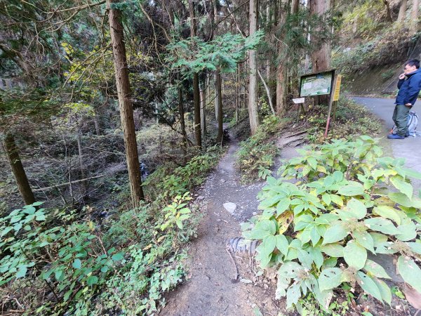 20251127陣馬山至高尾山2959066