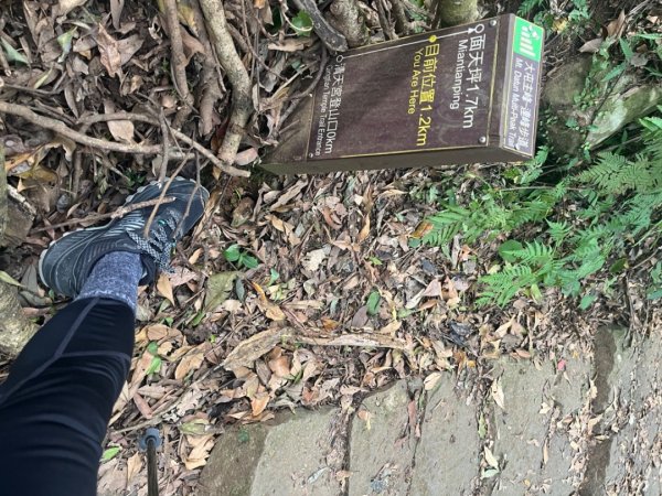 台北大縱走第一段2025/04/042753234