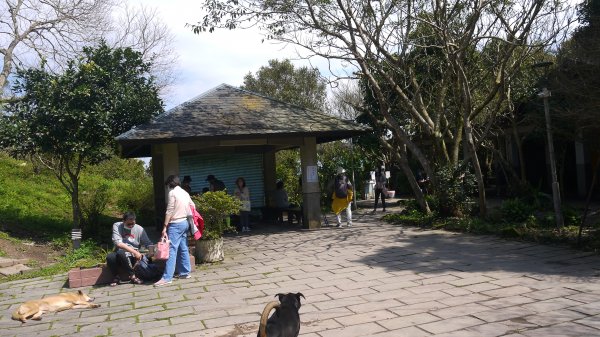 觀音山登山健行趣(小百岳05號)1632356