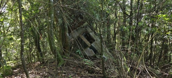 2025/06/15_盡尾山步道2812734