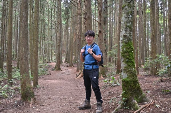 中級山-高島縱走2888391