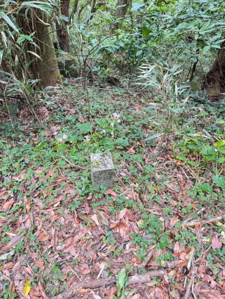 大屯山(小百岳# 001) &小油坑山2898878