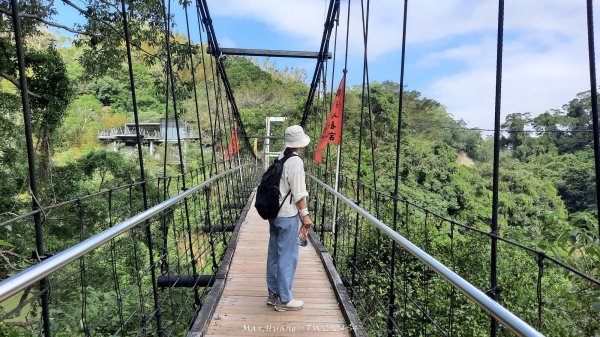 《苗栗》靜謐湖光｜明德水庫湖濱步道海棠島202411032641946