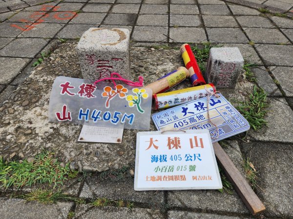 小百岳No.15⛰大棟山(龜崙山)2849776