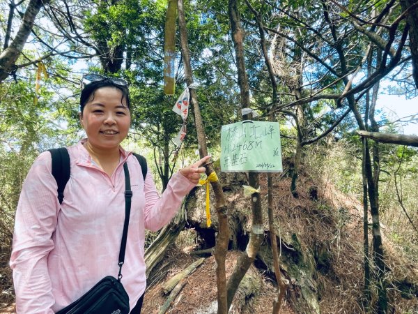 20260531觀霧榛山登山步道（榛山北峰+主峰+環形步道）3071478