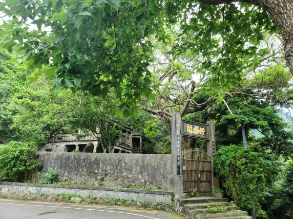 2020-0611觀音山硬漢嶺1066702