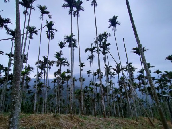 阿拔泉山/觀音石山/紅楠坑山/獨立山 環狀2963286