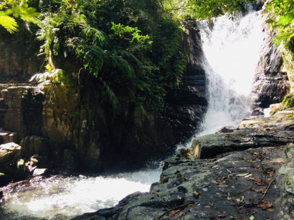 林美石磐步道446332